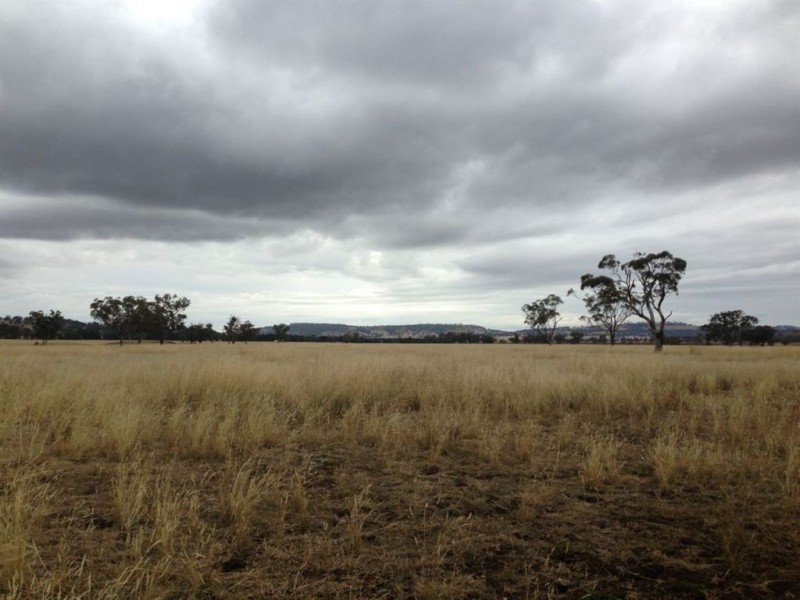 . Warrah Creek Rd (cnr Swinging Ridges Rd), Willow Tree NSW 2339
