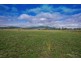 . Warrah Creek Rd (cnr Swinging Ridges Rd), Willow Tree NSW 2339