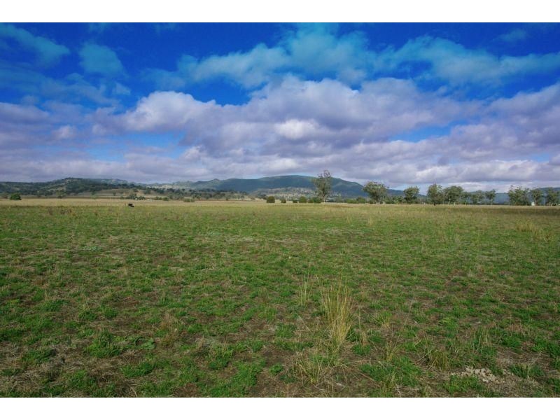 . Warrah Creek Rd (cnr Swinging Ridges Rd), Willow Tree NSW 2339