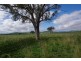 . Warrah Creek Rd (cnr Swinging Ridges Rd), Willow Tree NSW 2339