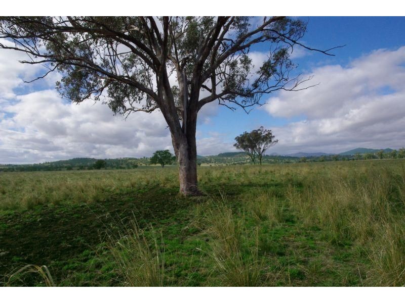 . Warrah Creek Rd (cnr Swinging Ridges Rd), Willow Tree NSW 2339