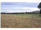 924 Rouchel Rd, Aberdeen NSW 2336