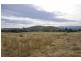 924 Rouchel Rd, Aberdeen NSW 2336