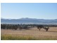 . St Aubins Estate, Gundy Rd, Scone NSW 2337