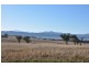 . St Aubins Estate, Gundy Rd, Scone NSW 2337