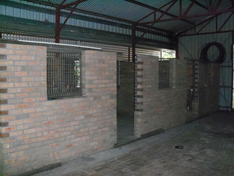 8649 New England Hwy, “Yarramalong”, Muswellbrook NSW 2333