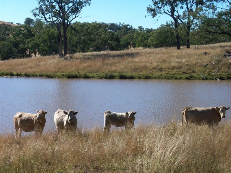 . Thomas Mitchell Drive, Muswellbrook NSW 2333