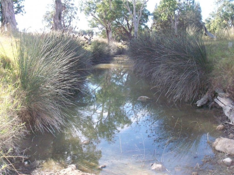 . Thomas Mitchell Drive, Muswellbrook NSW 2333