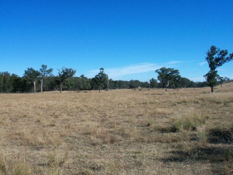 . Thomas Mitchell Drive, Muswellbrook NSW 2333