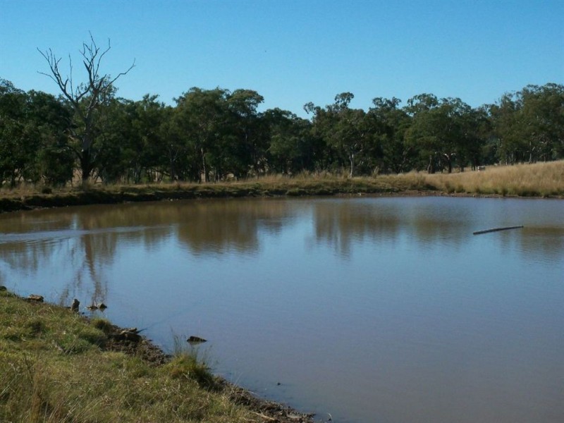 . Thomas Mitchell Drive, Muswellbrook NSW 2333