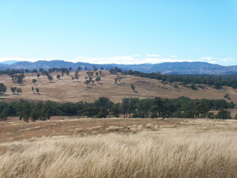 . Thomas Mitchell Drive, Muswellbrook NSW 2333