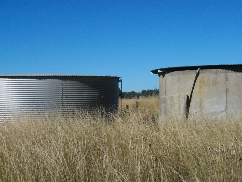 . Thomas Mitchell Drive, Muswellbrook NSW 2333