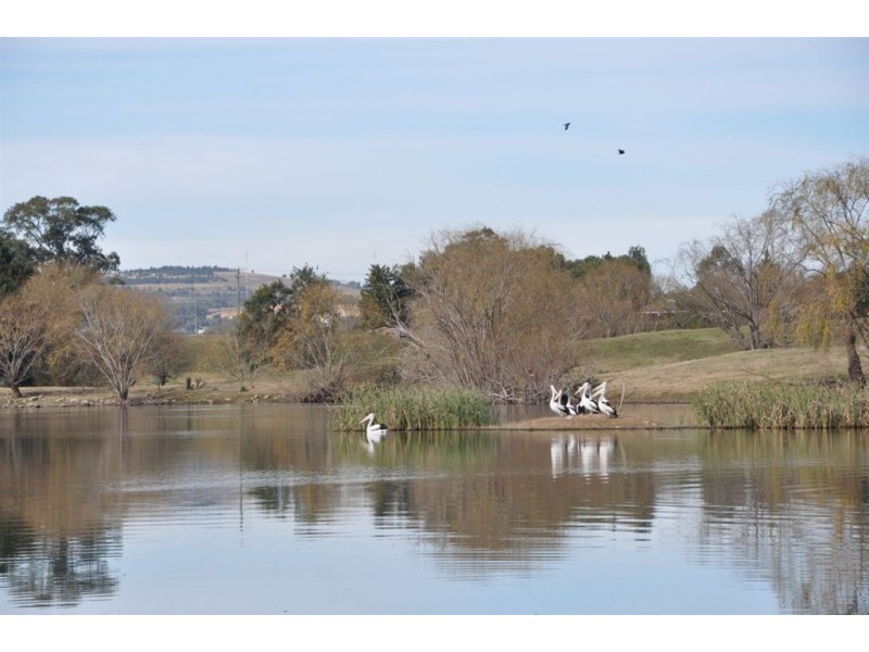 . “Elgin”, New England Hwy, Aberdeen NSW 2336