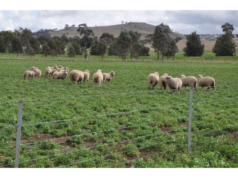 5199 Golden Hwy, Merriwa NSW 2329