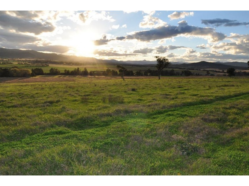 280 Moobi Rd, “Noogee”, Scone NSW 2337