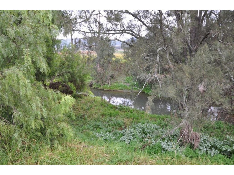 280 Moobi Rd, “Noogee”, Scone NSW 2337