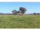 . “Cloven Hills”, Neilrex Rd, Coolah NSW 2843