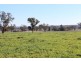 . “Cloven Hills”, Neilrex Rd, Coolah NSW 2843