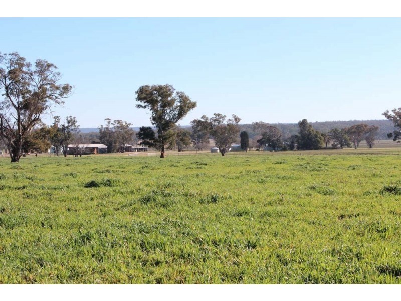 . “Cloven Hills”, Neilrex Rd, Coolah NSW 2843