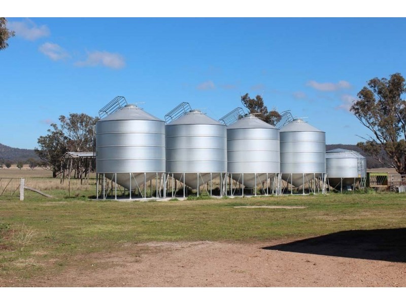 . “Cloven Hills”, Neilrex Rd, Coolah NSW 2843