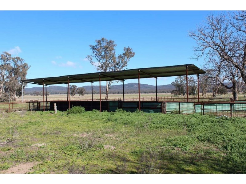 . “Cloven Hills”, Neilrex Rd, Coolah NSW 2843