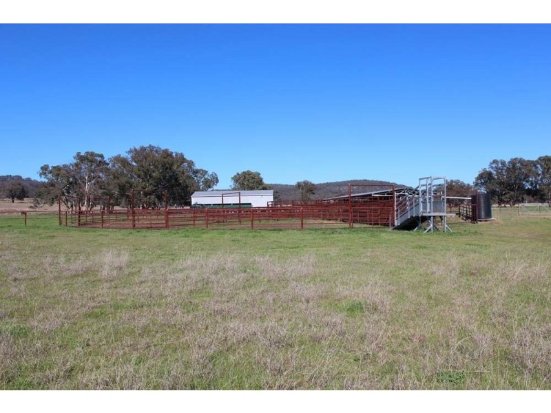 . “Cloven Hills”, Neilrex Rd, Coolah NSW 2843
