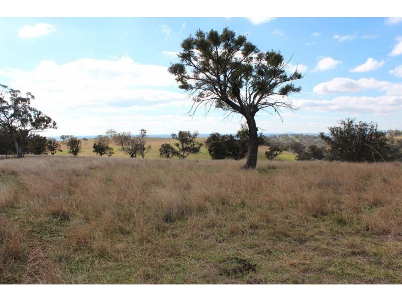 . “Cloven Hills”, Neilrex Rd, Coolah NSW 2843