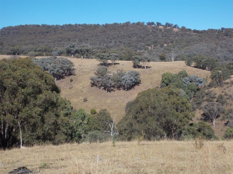 . Tomalla Rd, “Mountain Paddock”, Ellerston NSW 2337