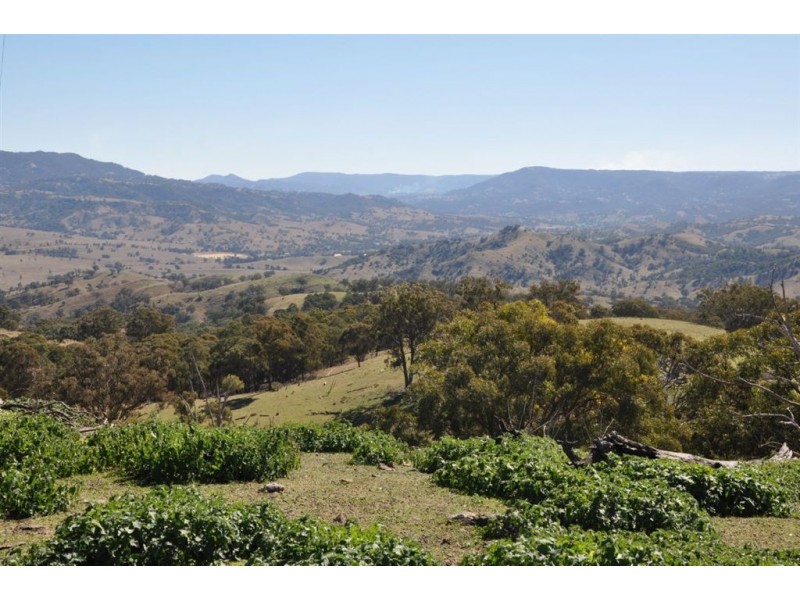 . Tomalla Rd, “Mountain Paddock”, Ellerston NSW 2337