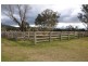 . “Kingdon Farm”, New England Hwy, Parkville NSW 2337