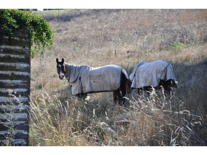 16 High St, Bunnan NSW 2337