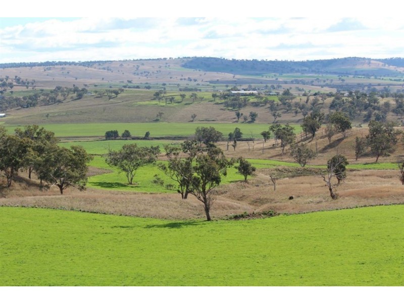 ‘Collaroy’ Golden Hwy, Merriwa NSW 2329