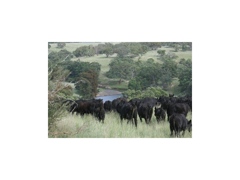 ‘Collaroy’ Golden Hwy, Merriwa NSW 2329