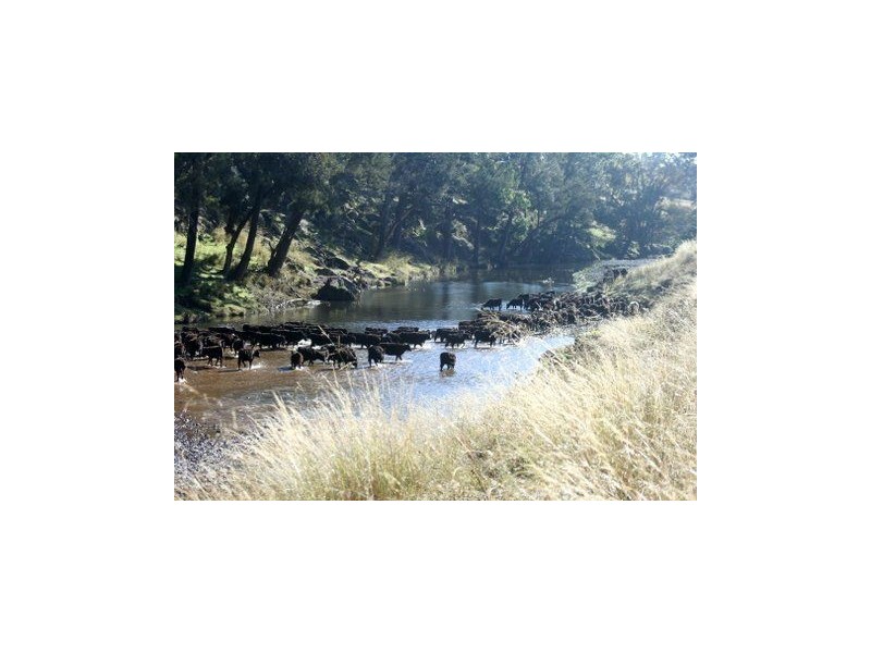 ‘Collaroy’ Golden Hwy, Merriwa NSW 2329