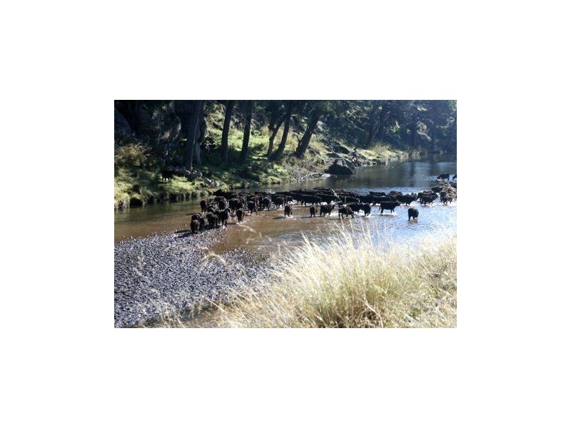 ‘Collaroy’ Golden Hwy, Merriwa NSW 2329