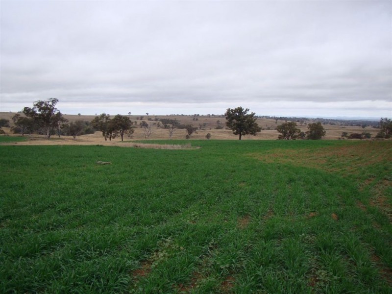 ‘Collaroy’ Golden Hwy, Merriwa NSW 2329