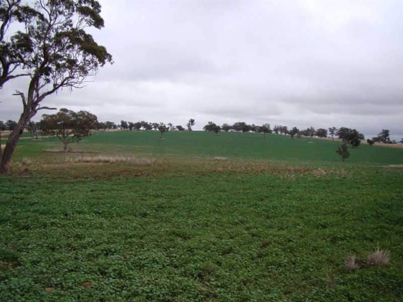 ‘Collaroy’ Golden Hwy, Merriwa NSW 2329