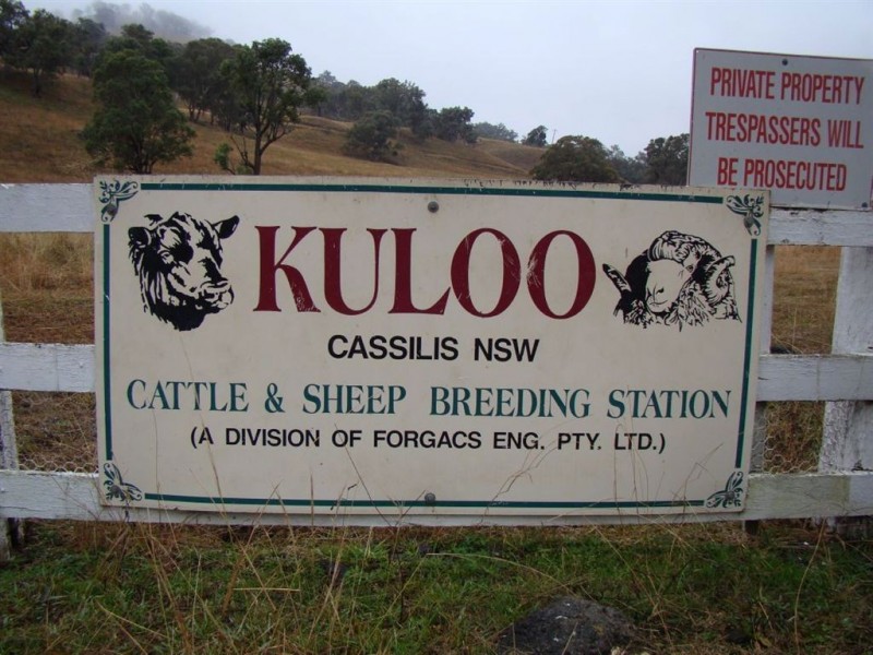‘Kuloo’ Kuloo Rd, Cassilis NSW 2329