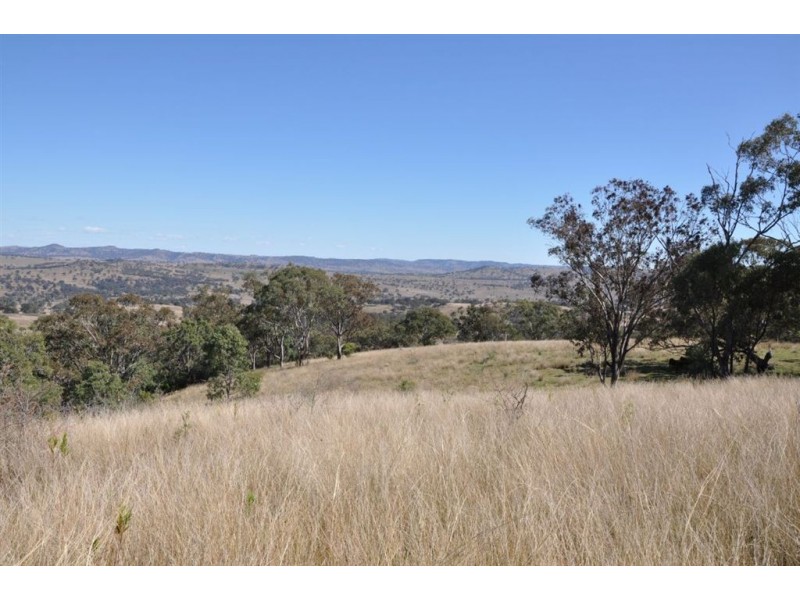 “Brawboy” Gibbergunyah Rd, Scone NSW 2337