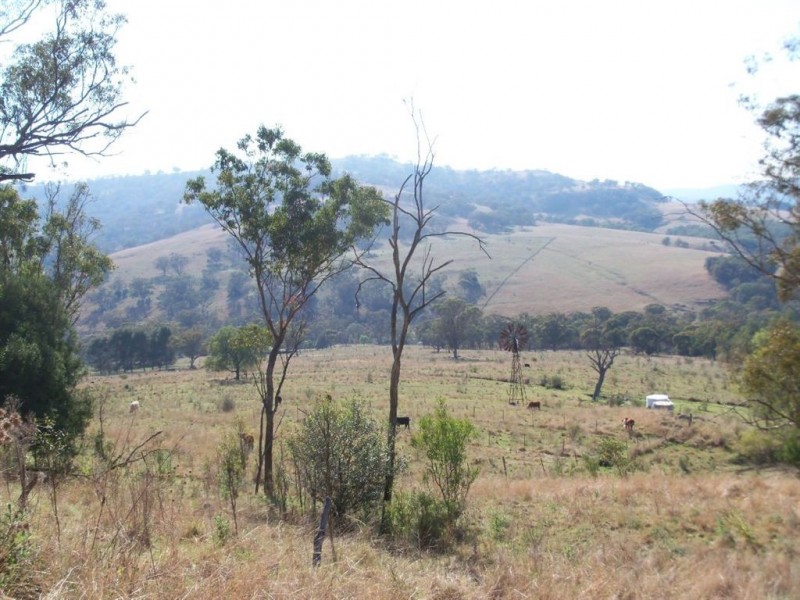 “Brawboy” Gibbergunyah Rd, Scone NSW 2337