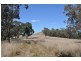 “Brawboy” Gibbergunyah Rd, Scone NSW 2337