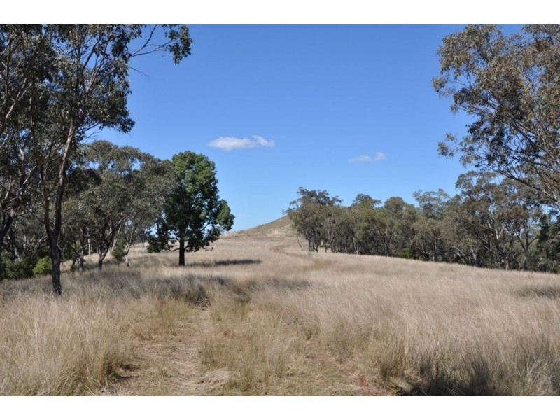“Brawboy” Gibbergunyah Rd, Scone NSW 2337