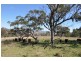 “Brawboy” Gibbergunyah Rd, Scone NSW 2337