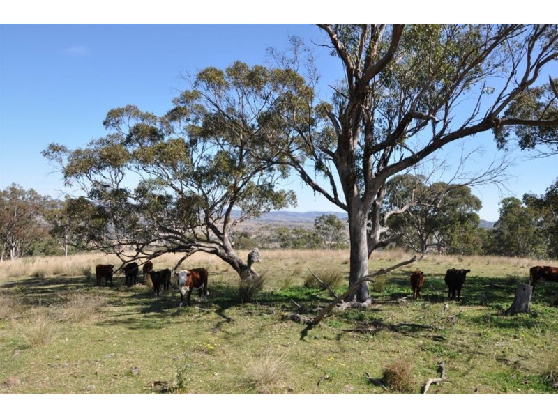 “Brawboy” Gibbergunyah Rd, Scone NSW 2337