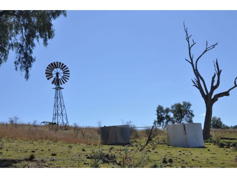 “Brawboy” Gibbergunyah Rd, Scone NSW 2337