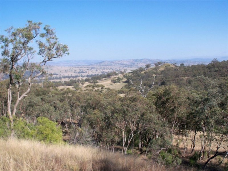“Brawboy” Gibbergunyah Rd, Scone NSW 2337