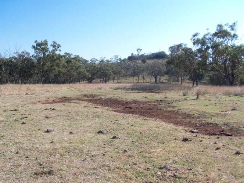 “Brawboy” Gibbergunyah Rd, Scone NSW 2337