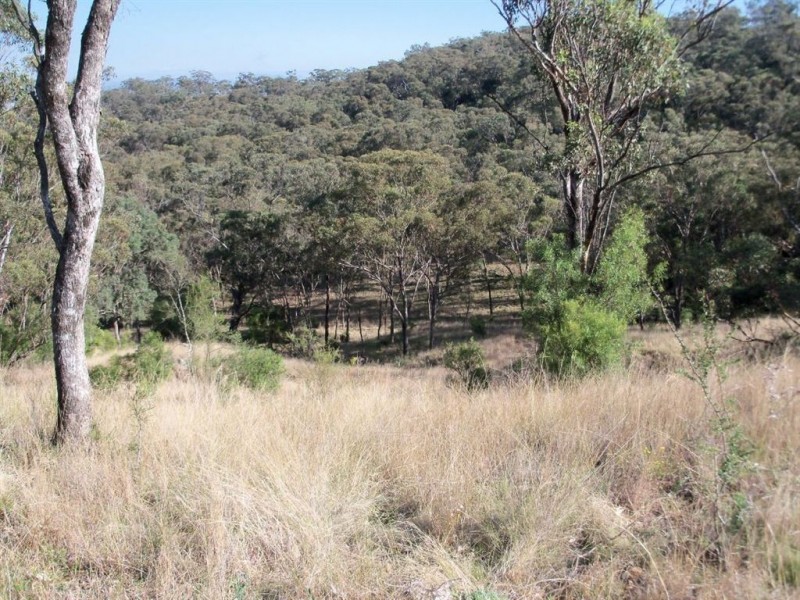 “Brawboy” Gibbergunyah Rd, Scone NSW 2337
