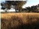 “Brawboy” Gibbergunyah Rd, Scone NSW 2337