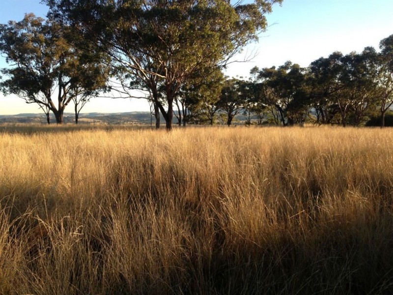 “Brawboy” Gibbergunyah Rd, Scone NSW 2337
